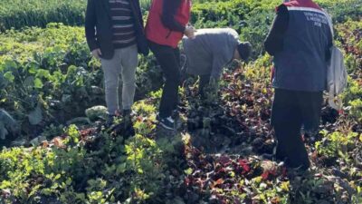 Efeler İlçe Tarım ve Orman Müdürlüğü ekipleri, Baltaköy Mahallesi’nde kimyasal