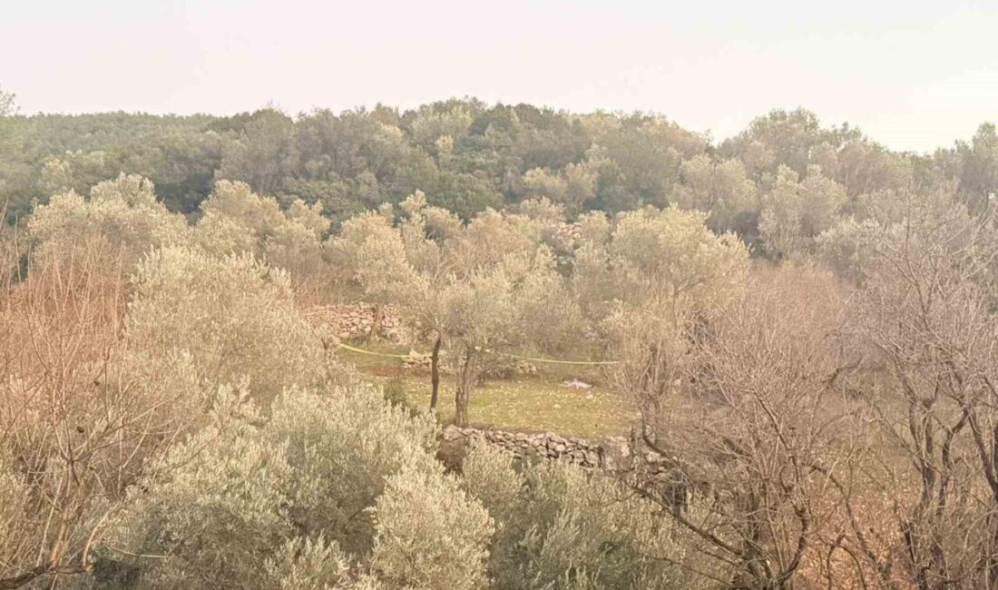 Muğla’nın Datça ilçesinde tarlada aniden rahatsızlanan şahıs hayatını kaybetti. Olay,