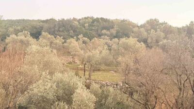 Muğla’nın Datça ilçesinde tarlada aniden rahatsızlanan şahıs hayatını kaybetti. Olay,