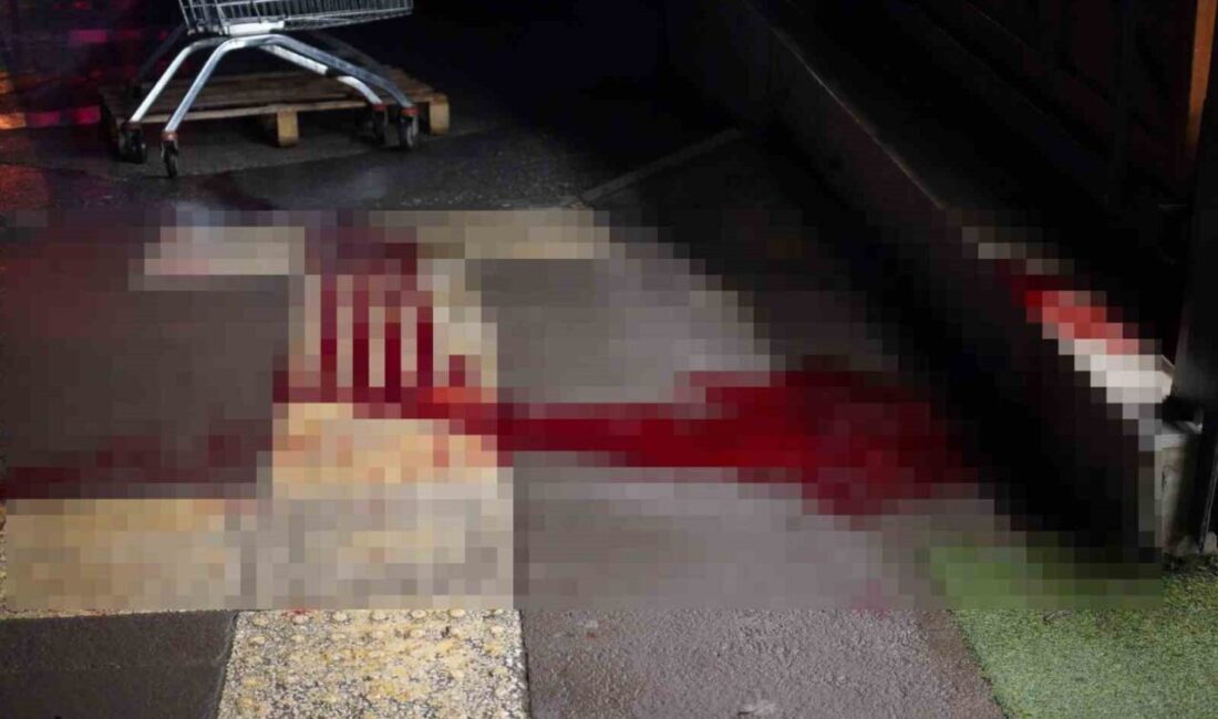 Sakarya’nın Adapazarı ilçesinde çıkan kavgada bir kişi kesici aletle göğsünden