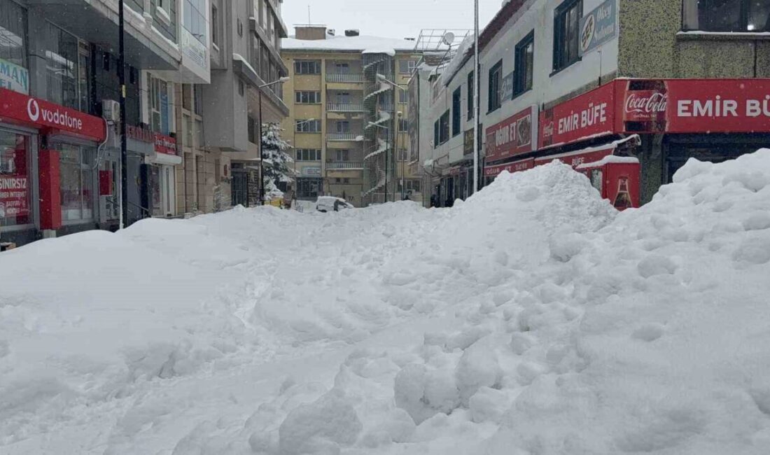 Bitlis’in Tatvan ilçesinde sabah saatlerinde gök gürültülü kar yağışı etkili