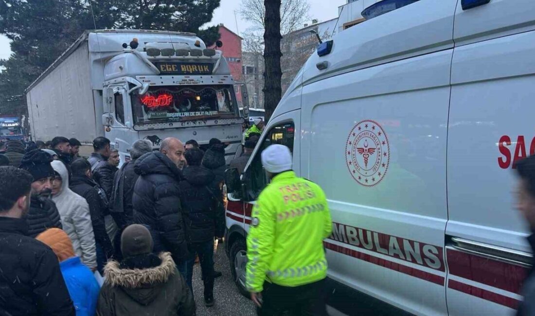 Bitlis’in Tatvan ilçesinde meydana gelen trafik kazasında bir kişi hayatını