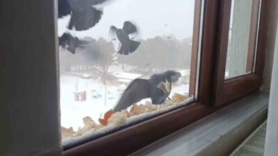 Bitlis’in Tatvan ilçesinde etkili olan olumsuz hava şartları nedeniyle pencerelerinin