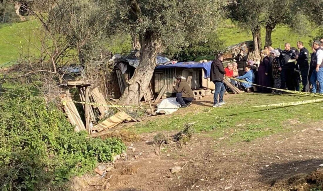 Kocaeli’de tavuklarına yem vermek için evinin 200 metre uzağındaki bahçesine