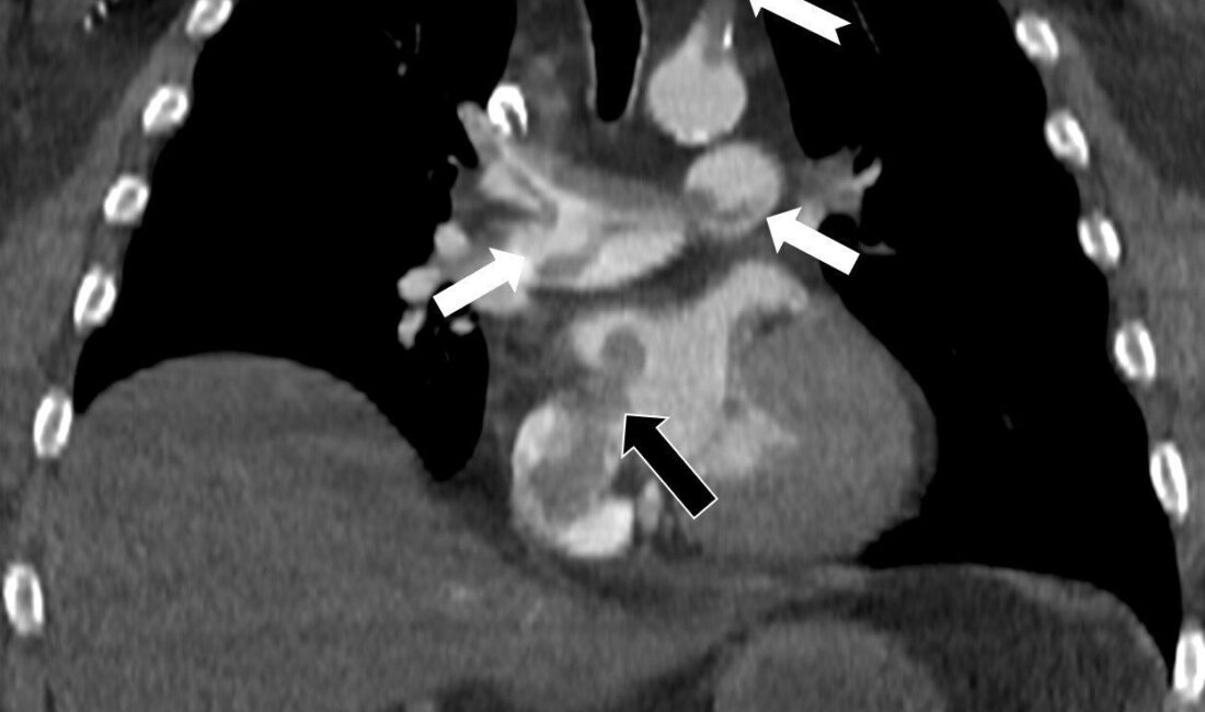 Özel Denizli Tekden Hastanesi’nde görev yaptığı dönemde de başarılı çalışmalara