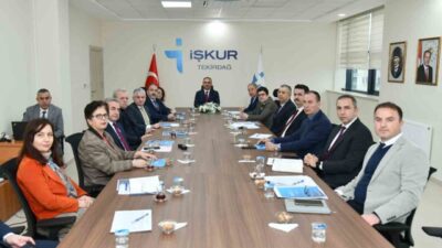 İl düzeyinde istihdam ve mesleki eğitim politikalarının oluşturulması, istihdamı koruyucu