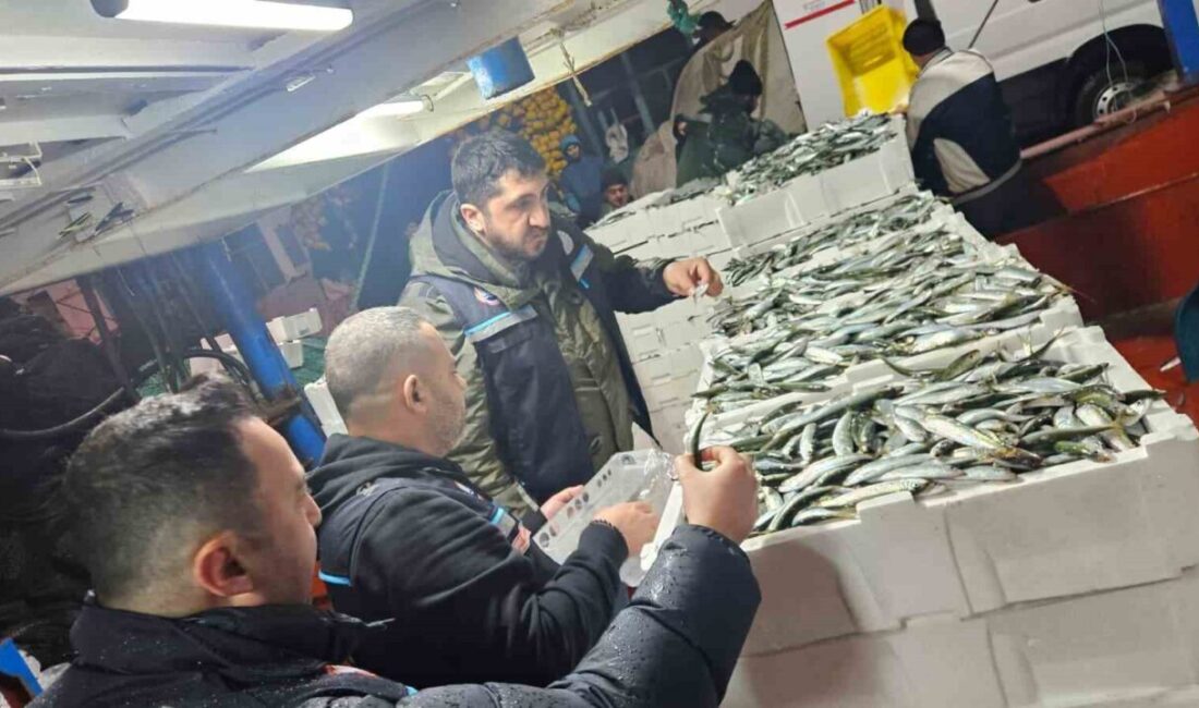 Tekirdağ Tarım ve Orman İl Müdürlüğü kontrol ekipleri, su ürünlerinin