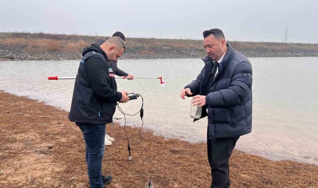 Tekirdağ’ın Hayrabolu ilçesine bağlı Temrezli Göleti’nde balık ölümleri yaşandı. Gölette