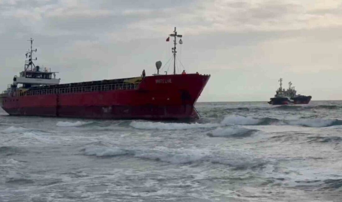 Tekirdağ’ın Marmaraereğlisi ilçesinde etkili olan şiddetli rüzgarın sürüklediği kuru yük