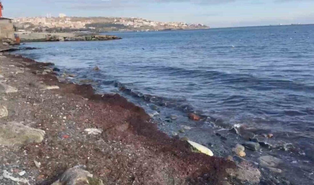 Tekirdağ’ın Süleymanpaşa ilçesinde 3 gündür aralıklarla etkisini sürdüren kuvvetli lodos,
