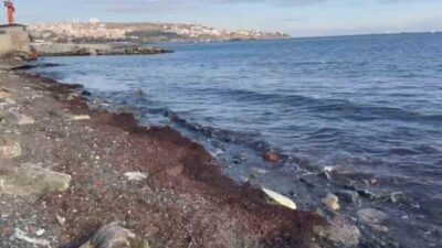 Tekirdağ’ın Süleymanpaşa ilçesinde 3 gündür aralıklarla etkisini sürdüren kuvvetli lodos,