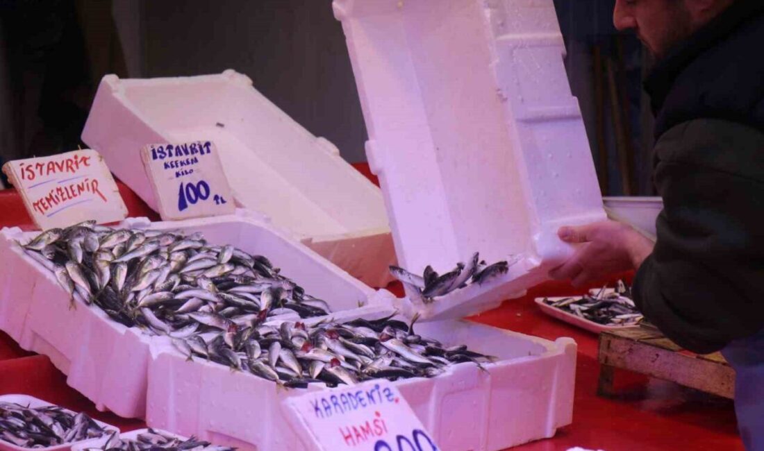 Hava sıcaklıklarının mevsim normallerinin üzerinde seyretmesi ve aşırı avlanma neticesinde