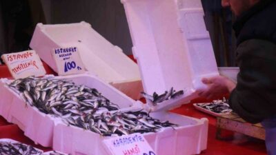 Hava sıcaklıklarının mevsim normallerinin üzerinde seyretmesi ve aşırı avlanma neticesinde