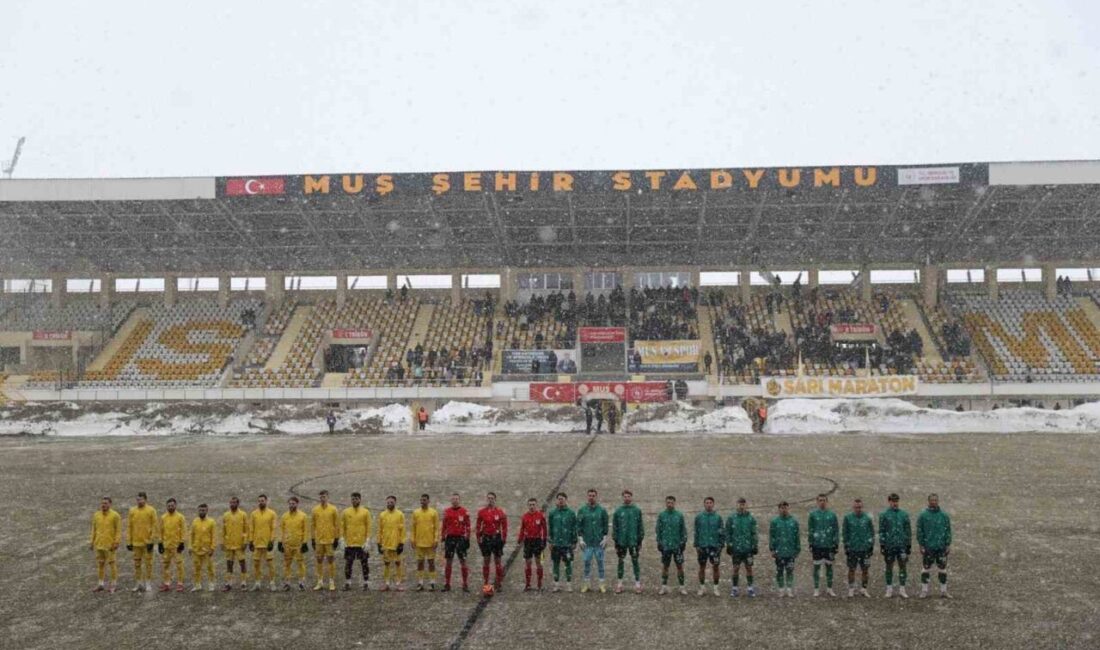 TFF 2. Lig Kırmızı Grup 21. hafta maçında Muş Spor