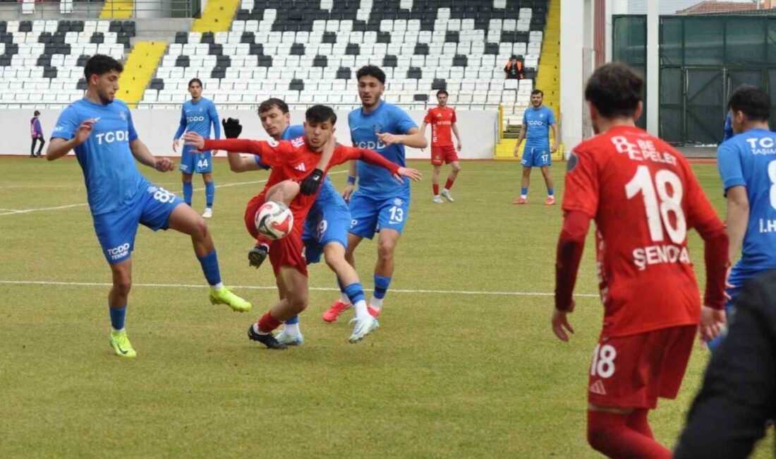 TFF 2. Lig Kırmızı Grup 21. haftasında Somaspor evinde karşılaştığı