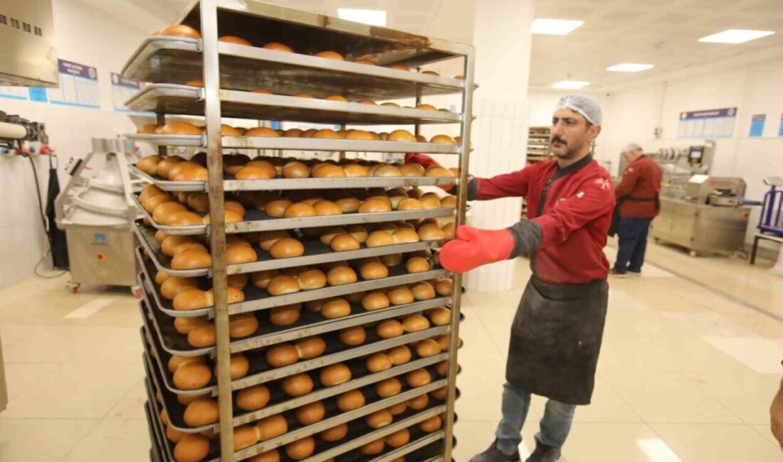 Tokat Gaziosmanpaşa Üniversitesi bünyesinde kurduğu mutfakta yemekhane, sosyal tesis ve