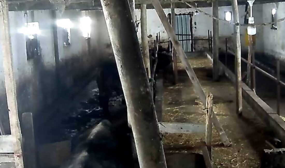 Tokat’ın Sulusaray ilçesinde yoğun kar yağışı nedeniyle bir ahırın çatısı