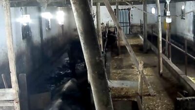 Tokat’ın Sulusaray ilçesinde yoğun kar yağışı nedeniyle bir ahırın çatısı