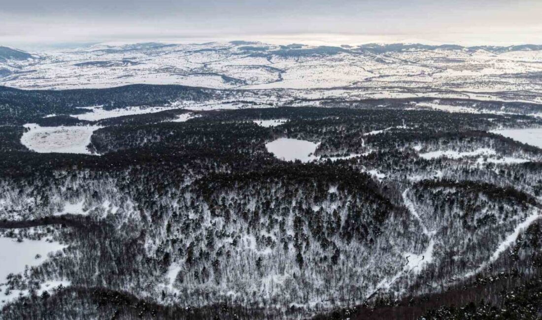 Tokat’ın Reşadiye ilçesindeki Kurt Gölü, donan yüzeyi ve karlı manzarasıyla
