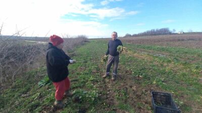 Edirne’nin Uzunköprü ilçesinde çiftçilik yapan aile, yılın dört mevsimi tarlada