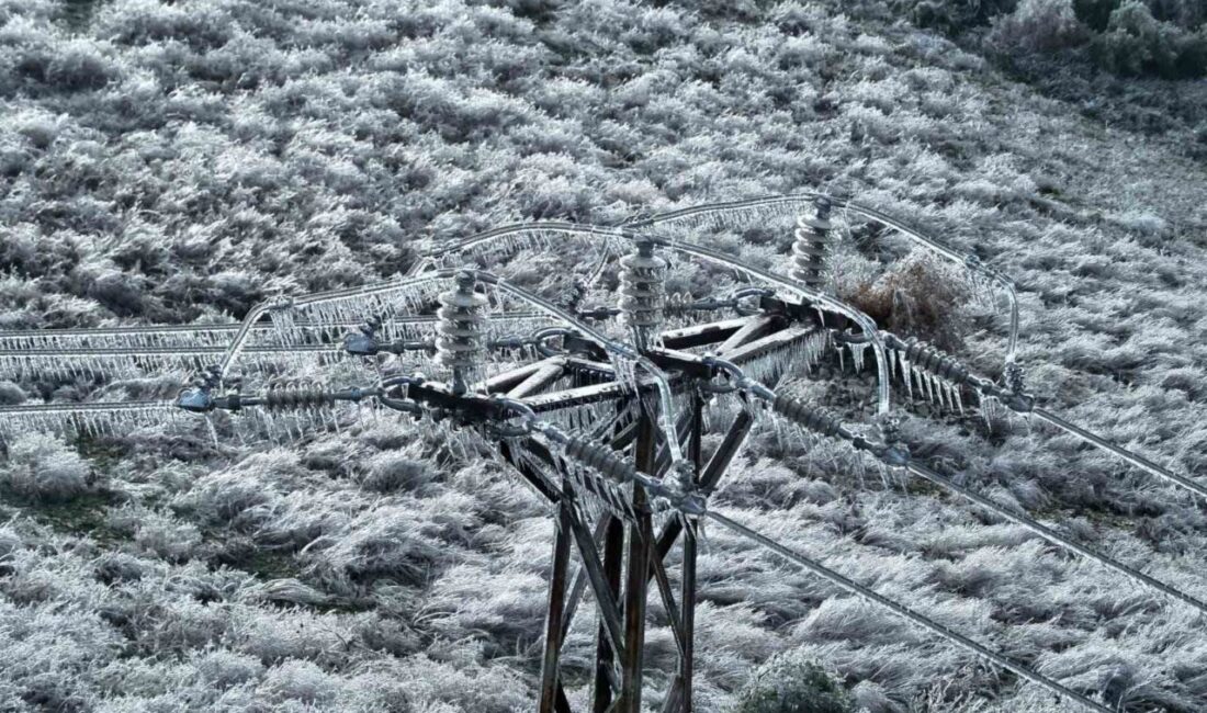 Enerjisa Dağıtım Şirketleri’nden Toroslar Elektrik Dağıtım A.Ş. (Toroslar EDAŞ), Hatay