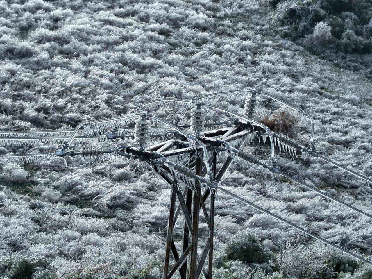 Enerjisa Dağıtım Şirketleri’nden Toroslar Elektrik Dağıtım A.Ş. (Toroslar EDAŞ), Hatay