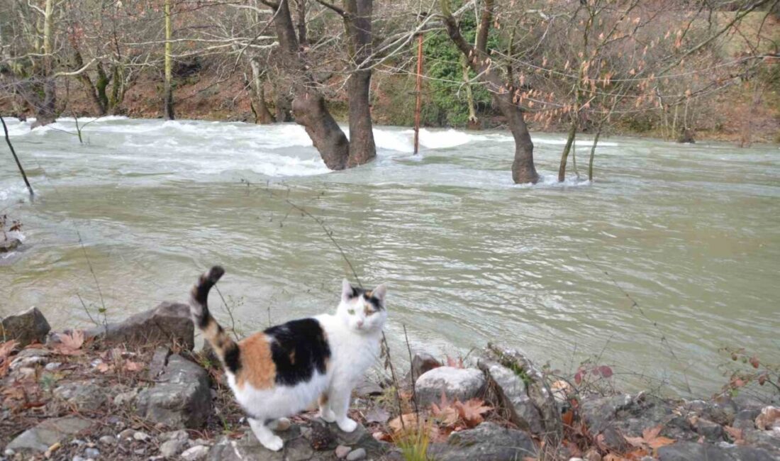 Antalya ve çevresinde son günlerde etkili olan sağanak yağışlar ve