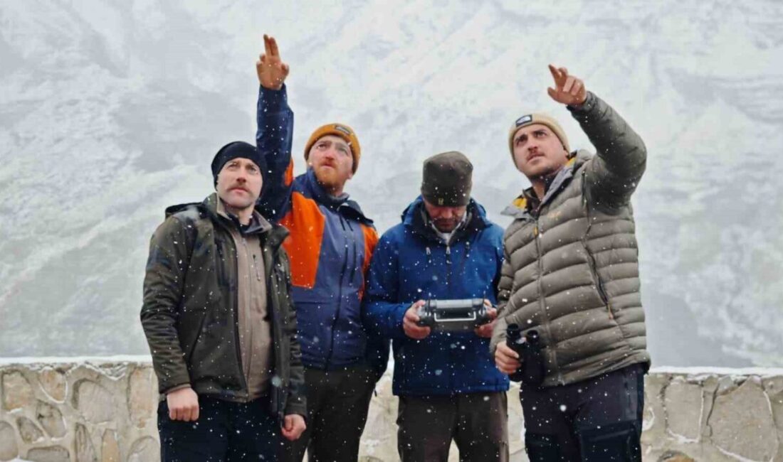 Erzurum’da Doğa Koruma ve Milli Parklar (DKMP) ekipleri tarafından kış