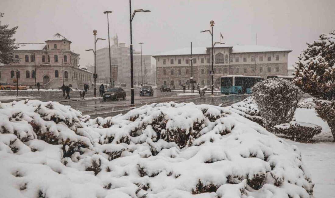 Türkiye İstatistik Kurumu (TÜİK), 2025 yılına ilişkin Gelir ve Yaşam