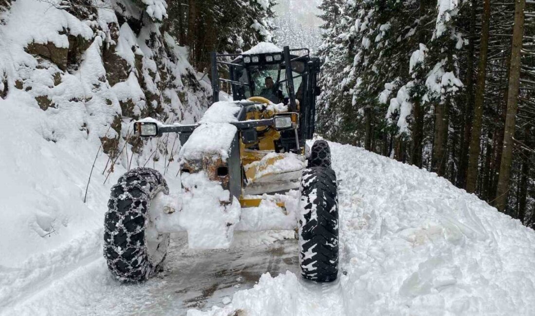 Trabzon’un yüksek kesimlerde bir süredir etkili olan kar yağışı nedeniyle