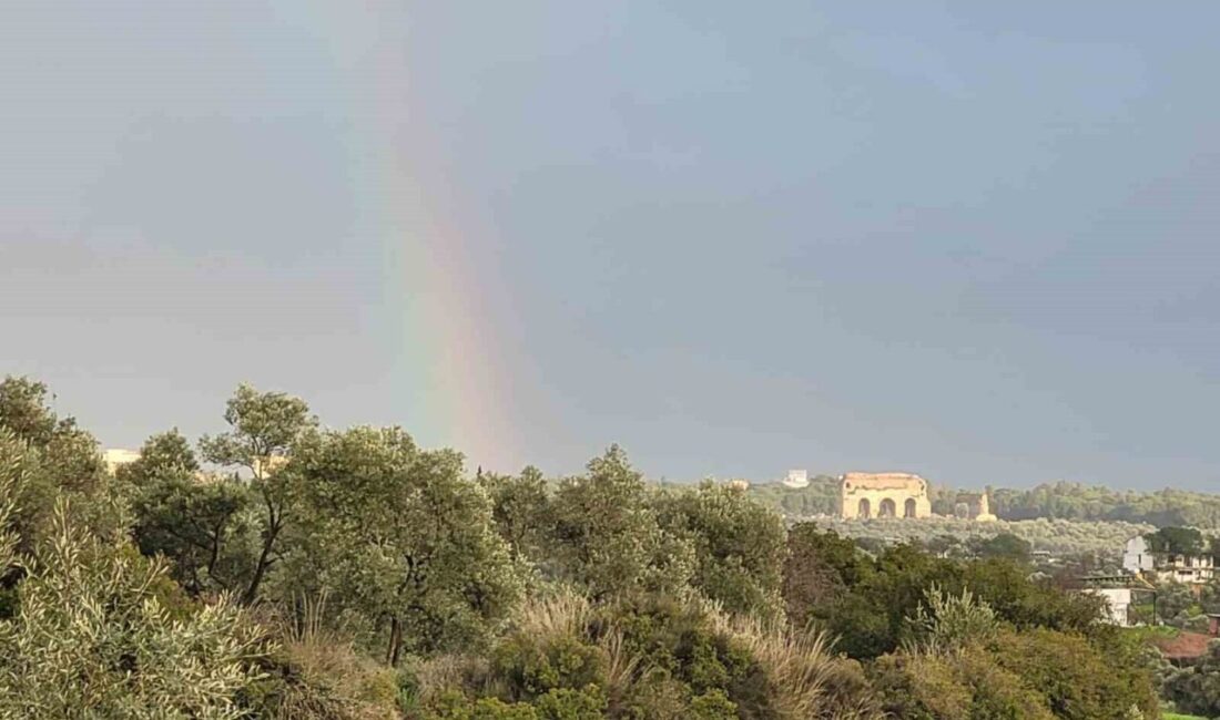 Aydın’ın Efeler ilçesinde etkili olan sağanak yağışın ardından ortaya çıkan