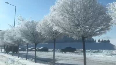 Adana’nın Tufanbeyli ilçesinde hava sıcaklıklarının gece saatlerinde eksi 20 dereceye