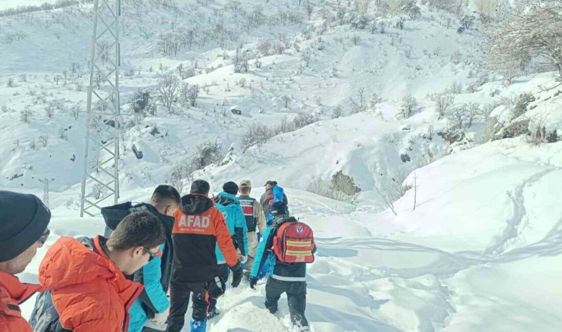 Tunceli’de, 108 yaşındaki kadının beslenme bozukluğu yaşadığı ihbarı üzerine AFAD,
