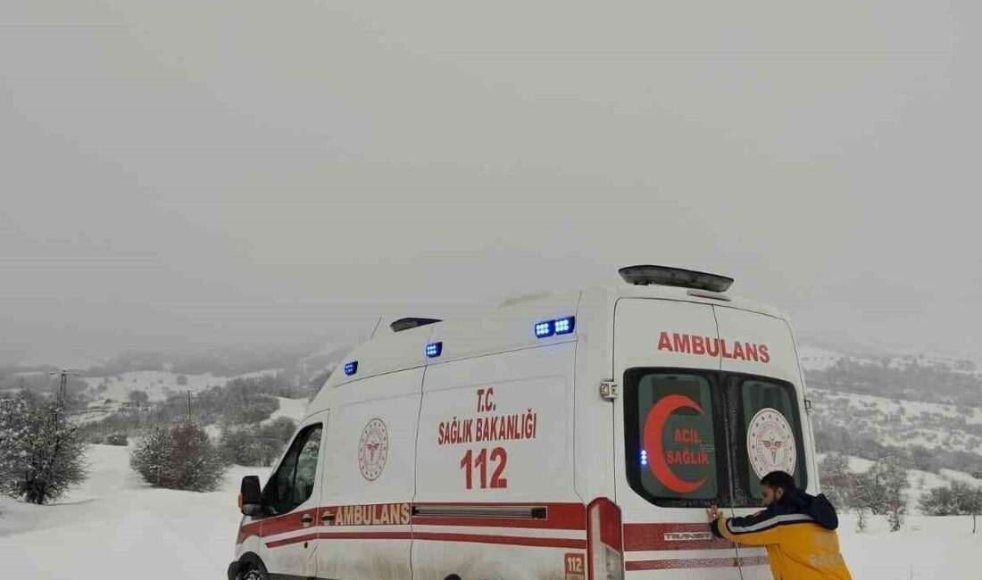 Tunceli’nin Mazgirt ilçesinde 61 yaşındaki kadın hasta ekiplerin zorlu çalışmasıyla
