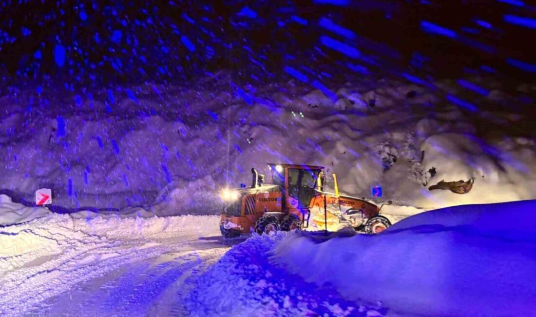Tunceli’de yaklaşık 10 gündür etkili olan yoğun kar yağışı birçok