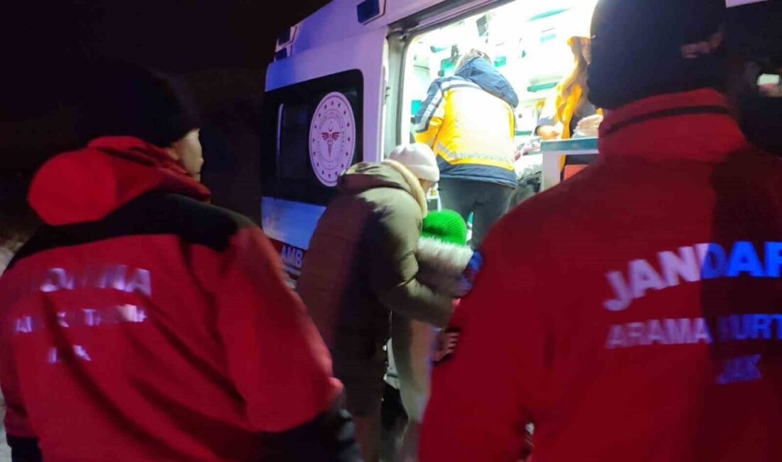 Tunceli’de kedi tırmalaması sonucu yaralanan çocuk için zorlu kış şartlarına