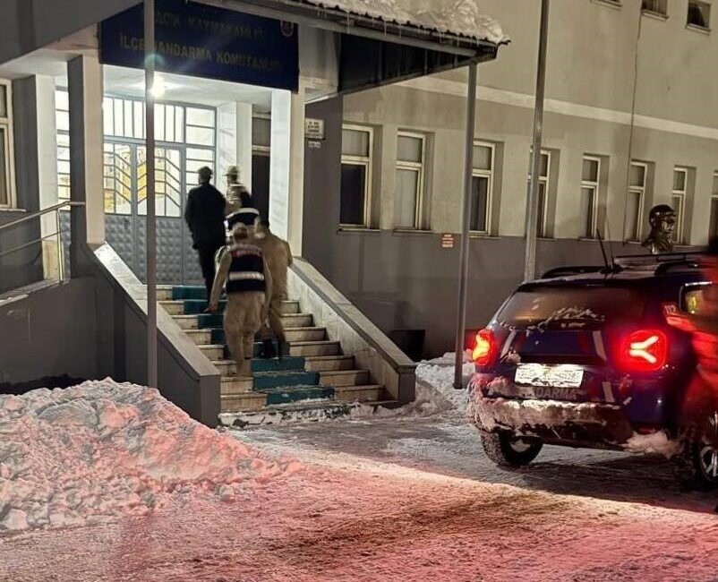 Tunceli’nin Ovacık ilçesinde yeni doğmuş bir köpek yavrusuna eziyet edildiği