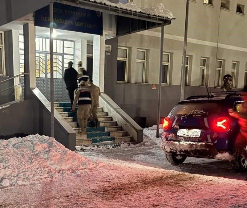 Tunceli’nin Ovacık ilçesinde yeni doğmuş bir köpek yavrusuna eziyet edildiği