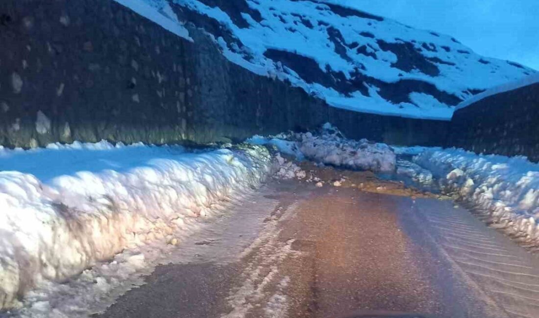 Sinop’un Türkeli ilçesinde meydana gelen heyelan nedeniyle Düzler-Celaller grup yolu