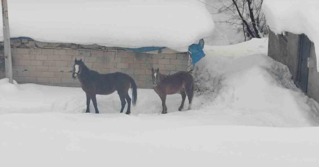 Hakkari’nin Yüksekova ilçesinde kışın kimsenin ikamet etmediği ve kar nedeniyle