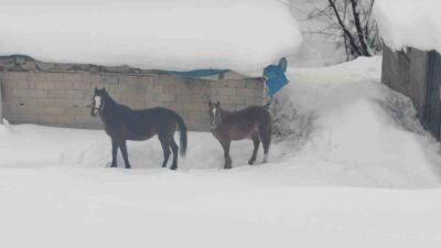 Hakkari’nin Yüksekova ilçesinde kışın kimsenin ikamet etmediği ve kar nedeniyle