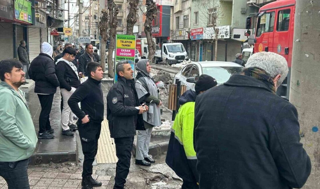 Diyarbakır’ın merkez Bağlar ilçesinde bir apartmanın son katındaki güvercin otelinde