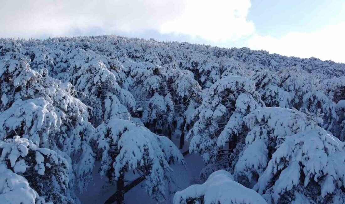 Türkiye’nin ilk Milli Parkı olma özelliğini taşıyan Yozgat Çamlığı, etkili