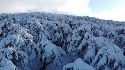 Türkiye’nin ilk Milli Parkı olma özelliğini taşıyan Yozgat Çamlığı, etkili