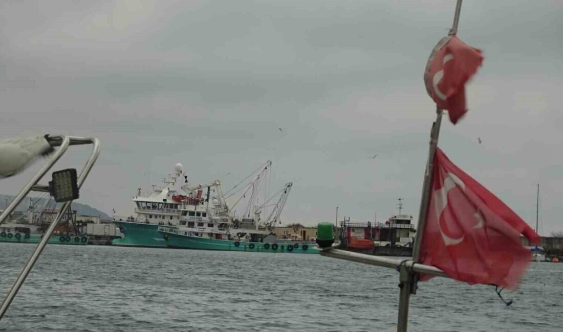 Türk balıkçılar, Karadeniz’in geç soğuması nedeniyle Gürcistan’a kaçan hamsinin yolunu