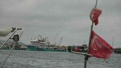 Türk balıkçılar, Karadeniz’in geç soğuması nedeniyle Gürcistan’a kaçan hamsinin yolunu