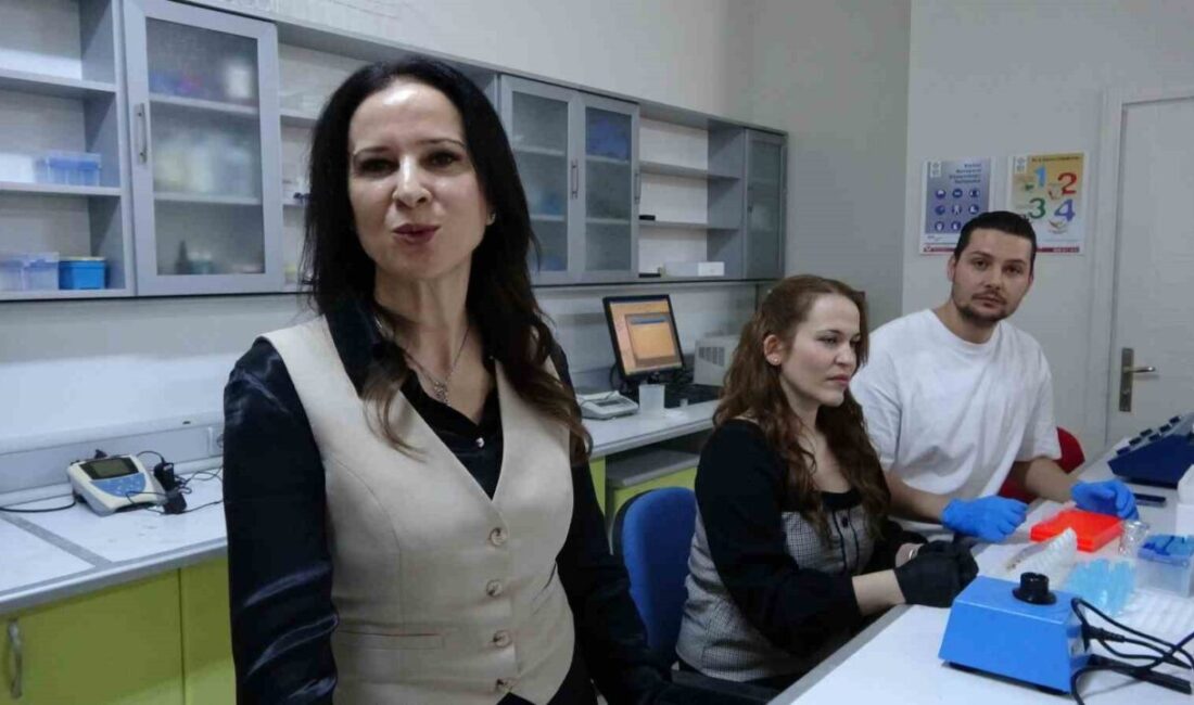 Isparta’da Tuz Gölü Havzası’nda yetişen halofit bitkilerin tuzlu toprakların ıslahında