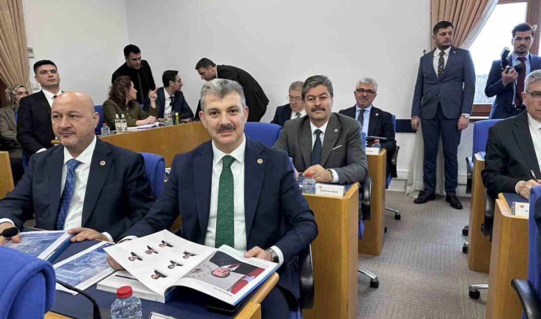 Türkiye Varlık Fonu (TVF) Yönetimi AŞ Genel Müdürü Salim Arda