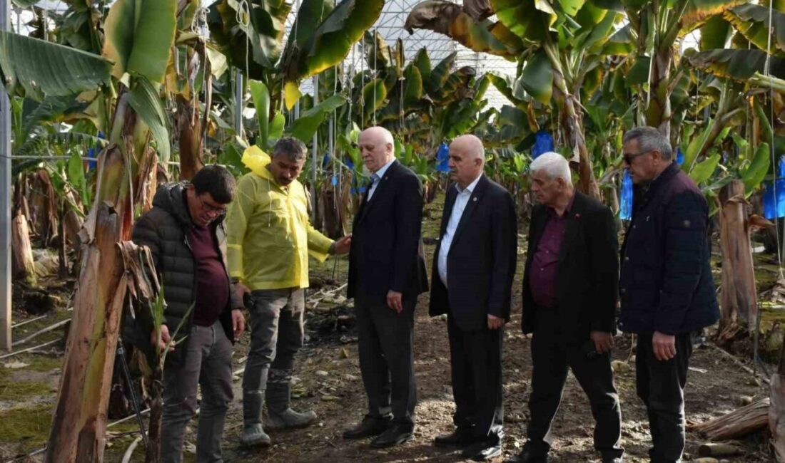 Türkiye Ziraat Odaları Birliği Genel Başkanı Şemsi Bayraktar, Manavgat’ta meydana