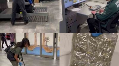 Çukurova Uluslararası Havalimanı’ndan Türkiye’ye giriş yapmak isteyen bir yolcunun valizindeki